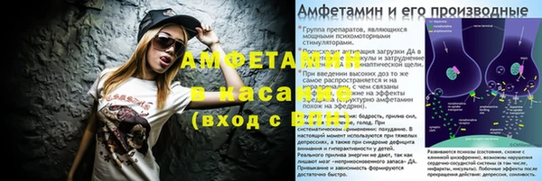 винт Алзамай