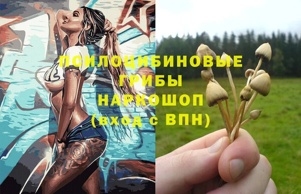 винт Алзамай