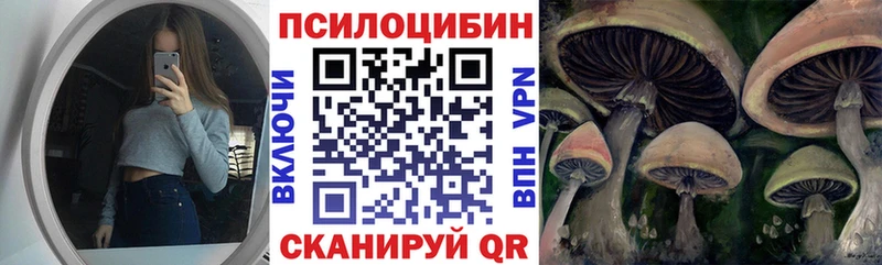 Псилоцибиновые грибы Psilocybine cubensis  OMG ссылка  Цимлянск 