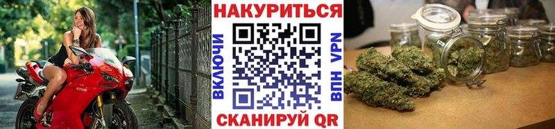 Шишки марихуана Amnesia Цимлянск